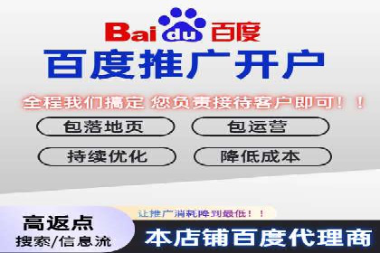 深度解读：百度推广运营的五大成功案例